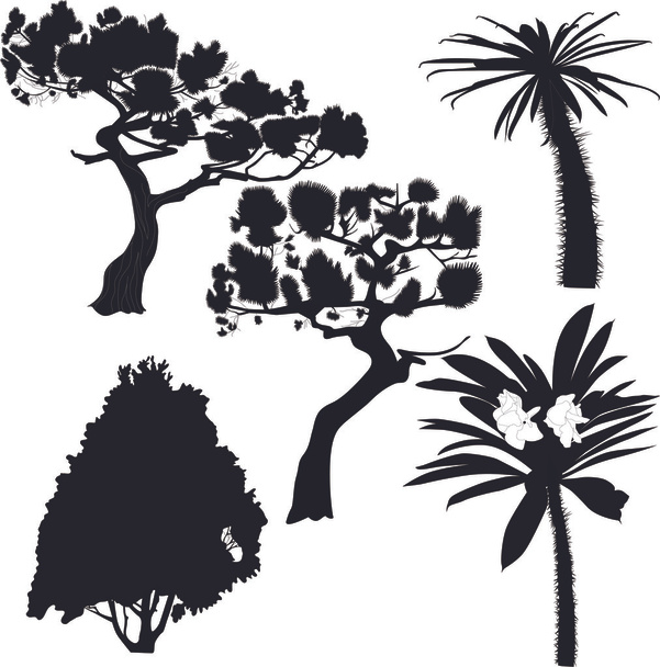Conjunto de árboles
 - Vector, Imagen