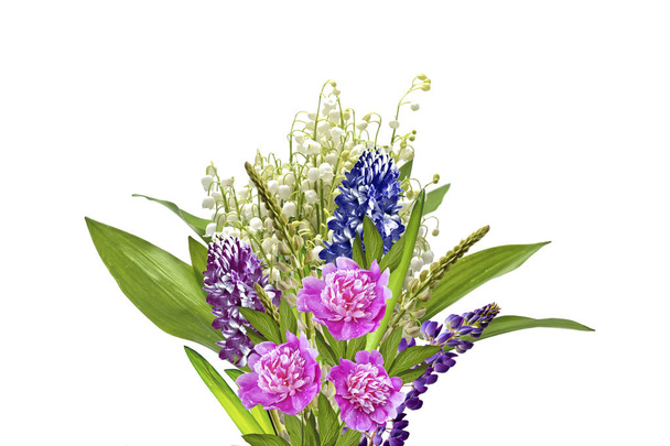 Lupine mooie bloemen op een witte achtergrond - Foto, afbeelding