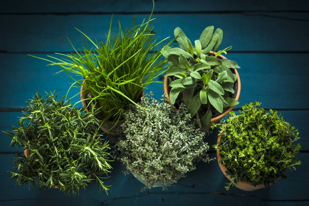 topview on fresh herbs  - Photo, Image