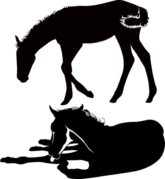 δύο άλογα - Διάνυσμα, εικόνα