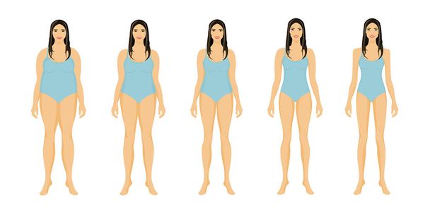 脂肪とスリムな女の子。減量、ダイエット、フィットネス前後の女性の体.  - ベクター画像