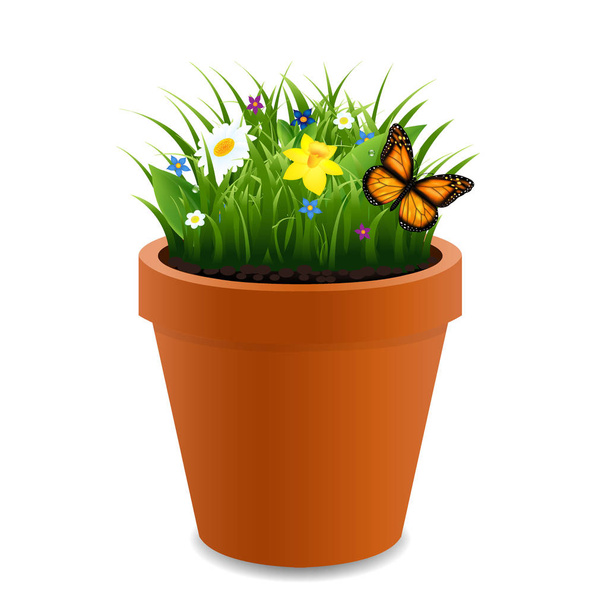 Flowers In Pot With butterfly - Vector, Image