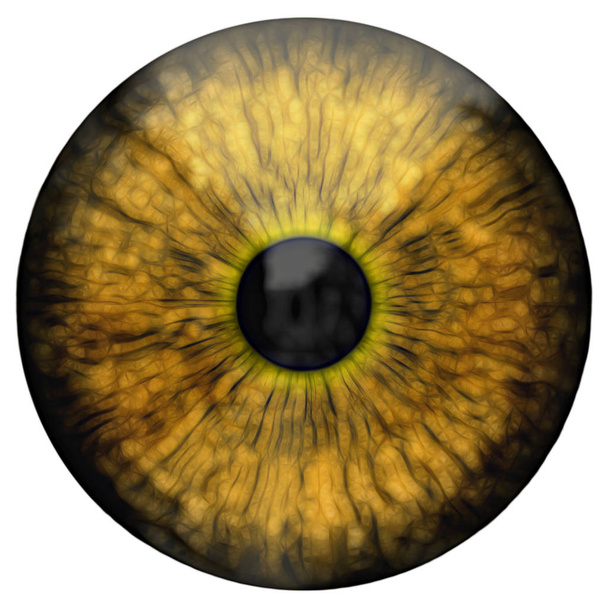 Μάτι, αφηρημένη ψηφιακή απεικόνιση - Φωτογραφία, εικόνα