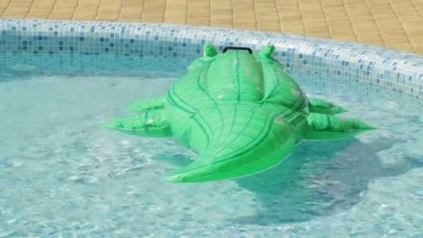 Bir yüzme havuzunda şişme timsah - Video, Çekim