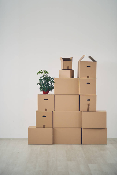 many boxes with stuff - 写真・画像