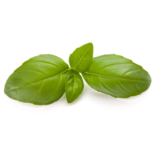 Sweet basil herb leaves - Foto, afbeelding
