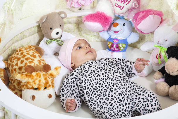 Babymeisje omringd door opgezette dieren - Foto, afbeelding