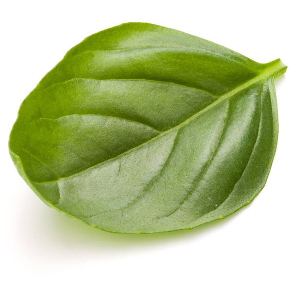 Sweet basil herb leaves - Foto, Imagen