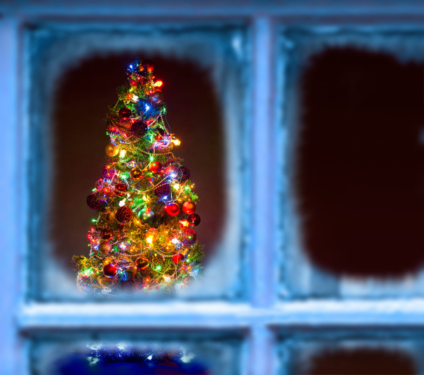 Christmas firtree - Foto, Imagem