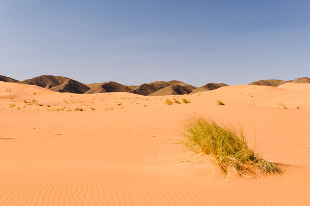 Піщані дюни в Ouzina Марокко - Фото, зображення