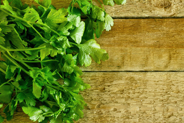 Green leaves of parsley - Фото, изображение