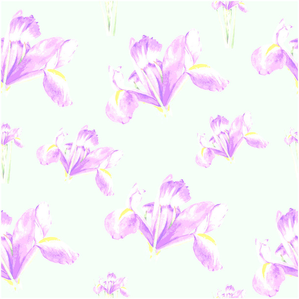 Spring flowers iris isolated on white background. Seamless pattern - Foto, Imagem