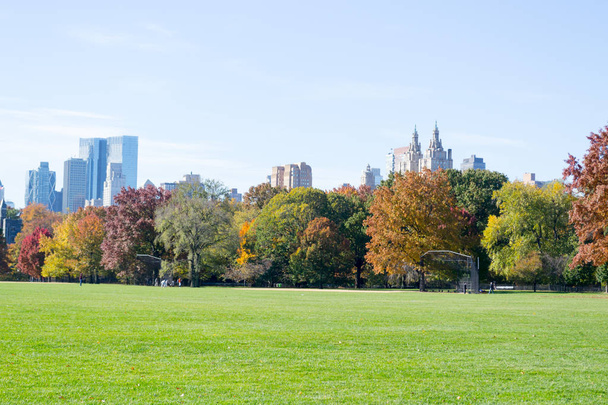 Grande pelouse située au cœur de Central Park pendant l'automne
 - Photo, image