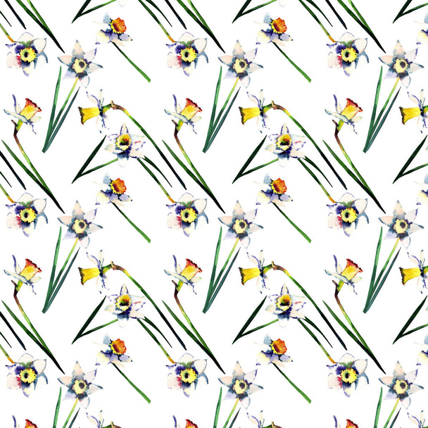 Beautiful tender spring daffodils on a white background pattern watercolor hand sketch - Fotó, kép