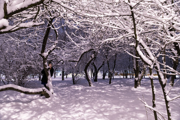 Woman in snowy winter evening park - Photo, image