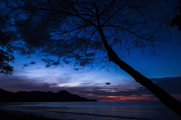 Crépuscule sur Playa Matapalo
 - Photo, image