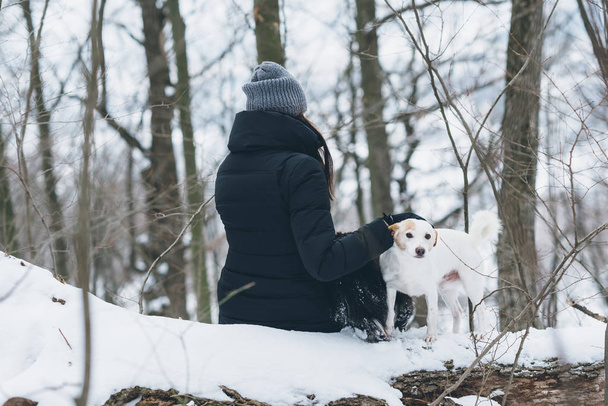 Tyttö istuu metsässä koirien kanssa.
 - Valokuva, kuva