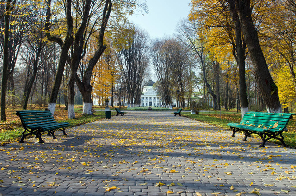 Callejón en el Parque Kachanovka.Chernihiv
 - Foto, Imagen