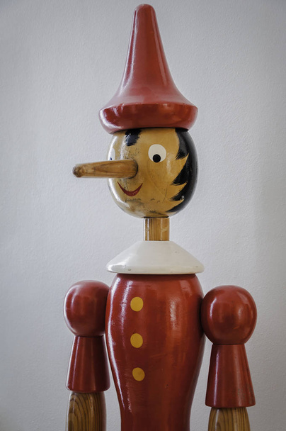 Pinokkio, puinen nukke
 - Valokuva, kuva