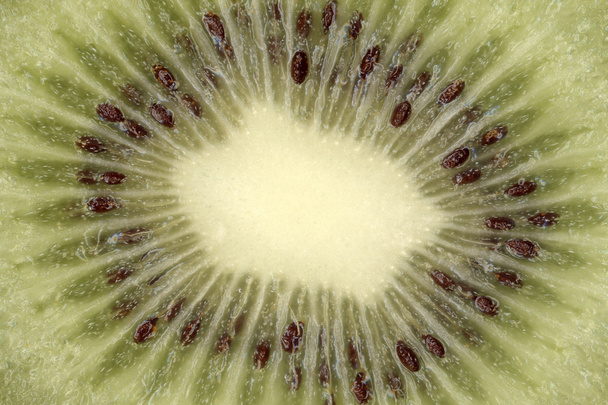 Kiwi fruit - Fotoğraf, Görsel