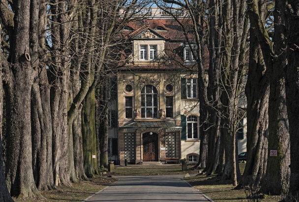 Vue à travers l'allée de la Villa Master à Francfort
 - Photo, image