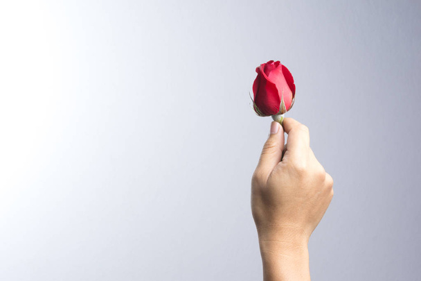 A man hand with red rose flower - Zdjęcie, obraz