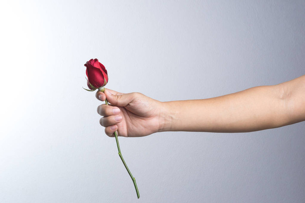 A man hand with red rose flower - Foto, imagen
