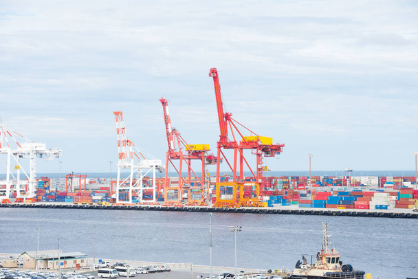 Container cargo and cranes Fremantle port Australia - Zdjęcie, obraz
