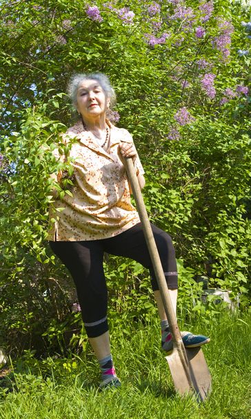 oude dame werken in tuin - Foto, afbeelding
