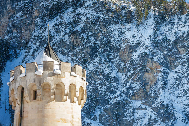 Nieve de los Alpes Bávaros y Neuschwanstein castillo en la mañana brumosa
,  - Foto, imagen