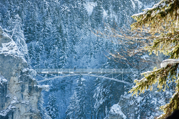 Снежные Баварские Альпы и Мариенбрук мост с точки зрения Не
 - Фото, изображение