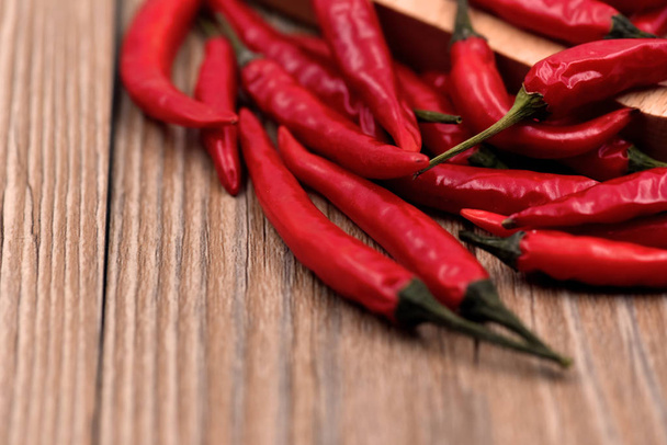 Száraz chili paprika - Fotó, kép