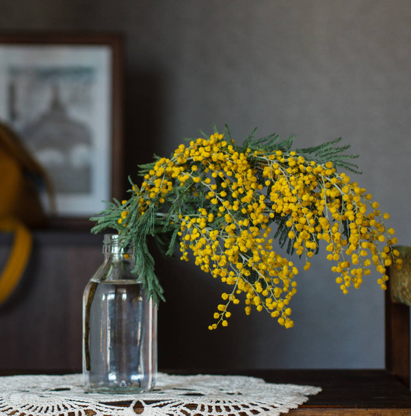 Bahar sarı çiçekleri Mimoza - Fotoğraf, Görsel