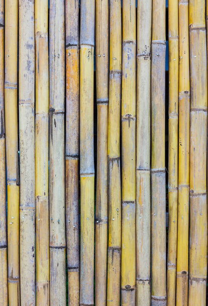 közeli kép: a park, kültéri bambusz kerítés háttér - Fotó, kép