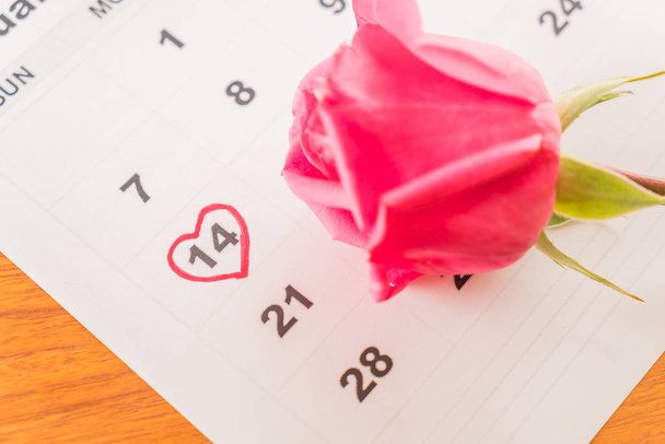 rose on the calendar  - Фото, изображение