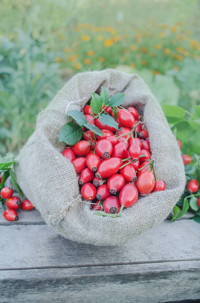 Rose hip fruit in a burlap bag over a wooden background - Photo, Image