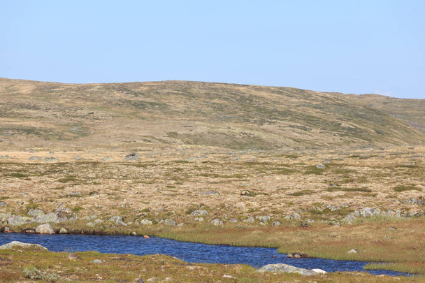 Jesień na Hardangervidda, Przełęcz - Zdjęcie, obraz