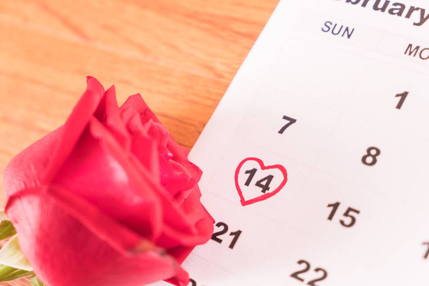 rose on the calendar with the date of February 14 Valentine's da - Фото, изображение
