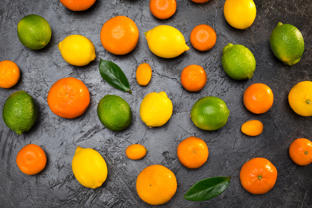fresh citrus fruits - Foto, immagini