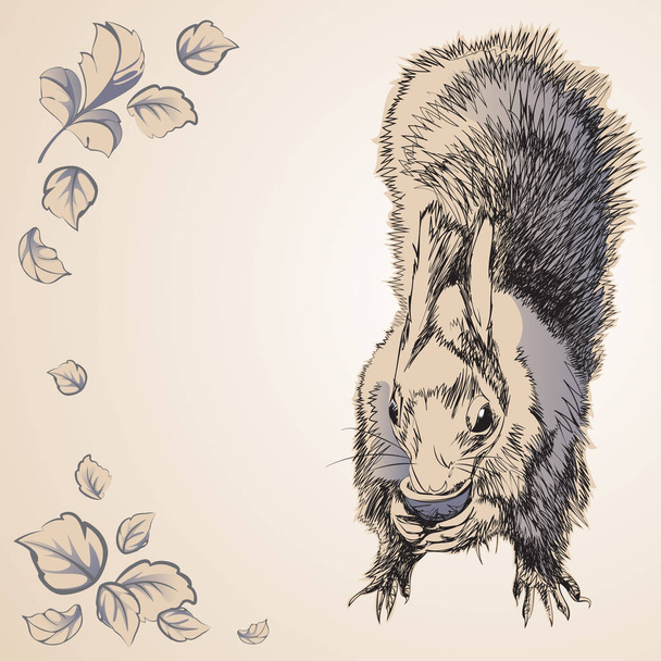 Ardilla roedor en un estilo de dibujos animados con flores
. - Vector, imagen