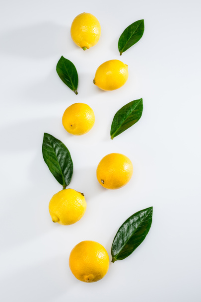 verse citroenen en bladeren - Foto, afbeelding