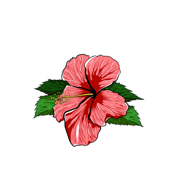 Tropical Flower hibiscus on a white Background. Vector - Vector, Image
