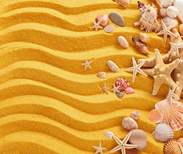 Yellow sand and seashells background. - Φωτογραφία, εικόνα