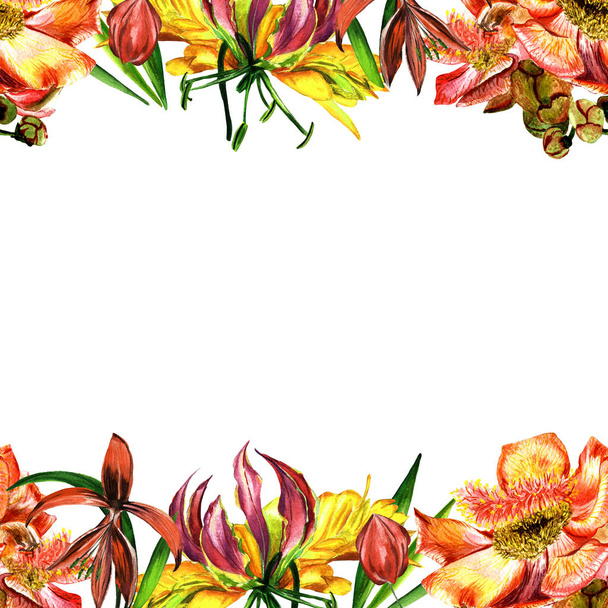 Tropische Hawaii bladeren en bloemen frame in een aquarel stijl geïsoleerd. - Foto, afbeelding