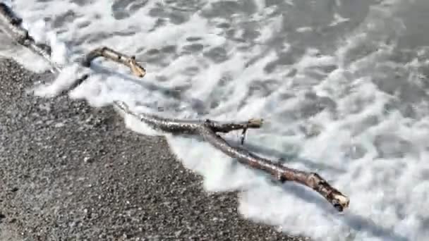 briser les vagues sur le rivage avec des cailloux et du bois flotté à la mer Baltique
 - Séquence, vidéo