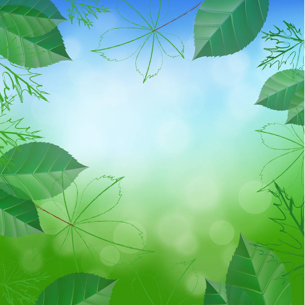 természetes zöld háttér - Vektor, kép