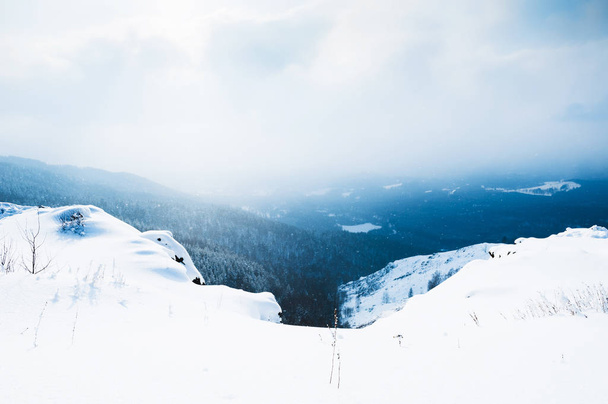 Beautiful winter landscape. - Fotografie, Obrázek