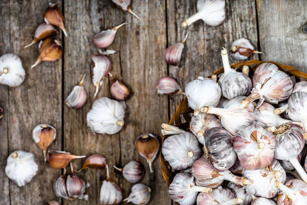 Healthy garlic bulbs in the basket, overhead view of farm fresh vegetables - Fotografie, Obrázek