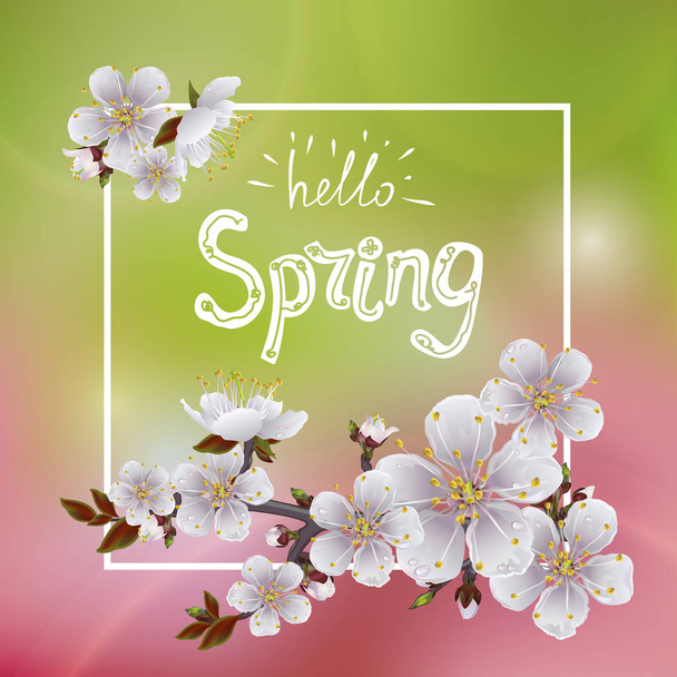 Hola primavera. Hermoso fondo de primavera
 - Vector, Imagen