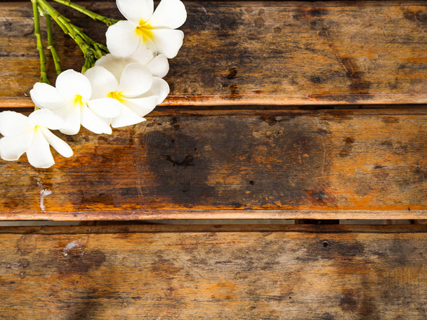 Plumeria flower on wooden background - Foto, Bild
